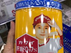 -龙丰 (旗舰店)