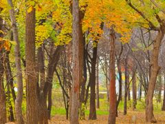 -长春市南湖公园