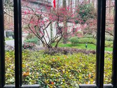 -杭州西湖柳莺里酒店·闻莺厅