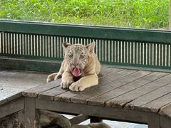 -秦皇岛野生动物园