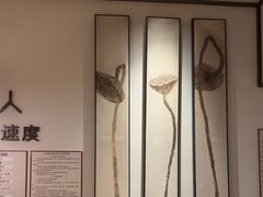 -沐善人家中医·推拿·理疗·三伏灸(新洲店)