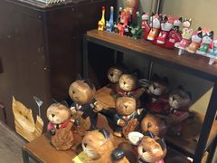 -猫咪博物馆(顶澳仔猫街店)