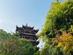 -黄鹤楼公园(黄鹤楼)