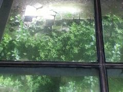 -东关历史文化旅游区-东门遗址