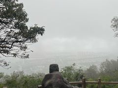 -灵岩山风景区