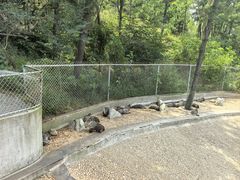 -西霞口神雕山野生动物世界