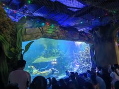 -嘉兴海底世界