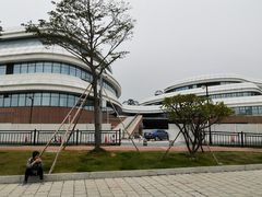 -野狸岛