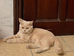 -拜鲁耶动物诊疗中心·宠家动物医院