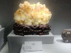 -湖南省地质博物馆