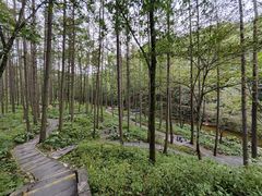 -洛阳白云山景区