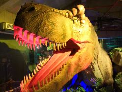 -恐龙探索乐园(磁器口店)