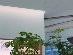 -长风拨筋养身(金虹桥店)