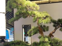 -绿茶餐厅(南方商城店)