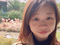 -无锡动物园·太湖欢乐园