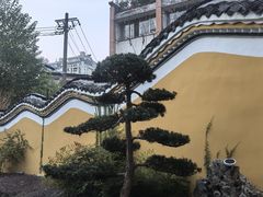 -迎江寺