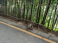 -禾生粑粑坊(陕西路店)