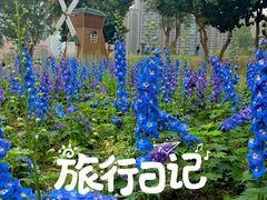 -香山湖公园