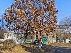 -莫子山公园