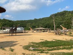 -杭州野生动物世界