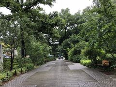 -三鹰之森吉卜力美术馆