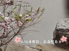 -北海公园