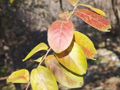 -白水寺森林公园