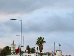 -哈桑二世清真寺