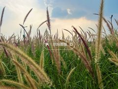 -中国天府农业博览园