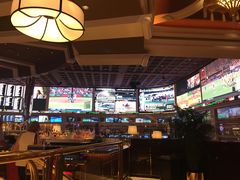 -拉斯维加斯永利酒店