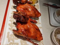 -大鸽饭(动物园店)