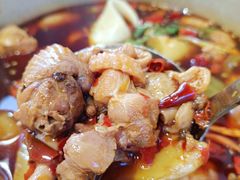 -晓彭肥肠鸡·泡椒鸡火锅(水木天地店)