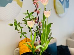 -张一元茶庄(望京店)