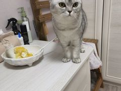 -老杨头烧烤(博烤堂店)