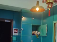 -荒岛实景沉浸密室(江汉路1店)