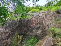 -广州白江湖森林公园