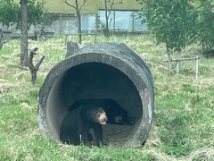 -上海野生动物园