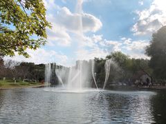 -上海共青森林公园