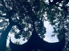 -拙政园
