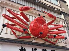 -蟹道乐(道顿堀本店)
