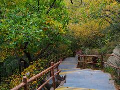 -大青沟风景区