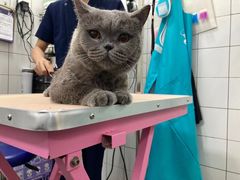 -拜鲁耶动物诊疗中心·宠家动物医院