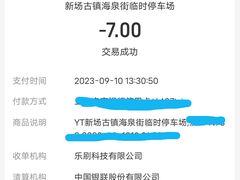 -新场古镇-停车场