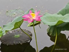 -承德避暑山庄景区