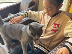 -猫咪咖啡店(新城大街店)