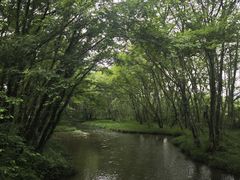 -西溪南古村落