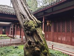 -太平天国侍王府