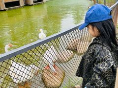 -前小桔亲子创意农场·草莓采摘·露营烧烤