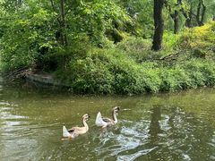 -洛阳市隋唐城遗址植物园