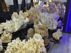 -游龙石文化科普馆